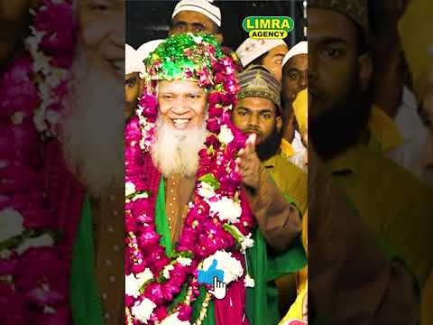 हाश्मी मियां बने दूल्हा Sayyad Hashmi Miyan #hashmimiyan #short #ytshort #shorts #limraagency
