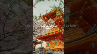 manifest a japan trip 2026 #explore #japan #bollywoodsongs #fyp #ytshorts #viral