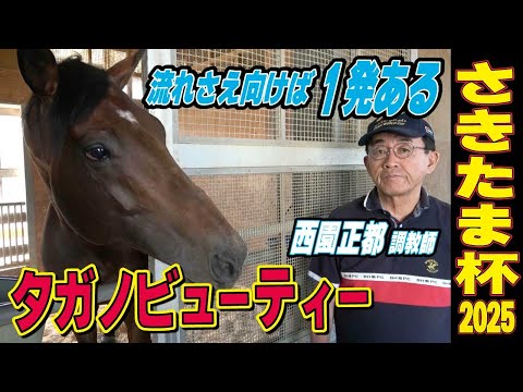 【さきたま杯2025】タガノビューティー・西園正都調教師インタビュー「流れさせ向けば1発ある」