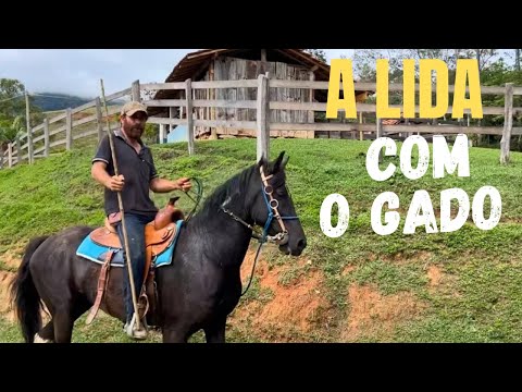 SABEDORIA DOS ANTIGOS - A TERRA SECA O LEITE - VACA DESCANSANDO