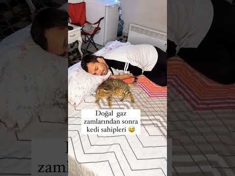 DOĞALGAZ ZAMLARINDAN SONRA KEDİ SAHİPLERİ 😆 yucel.hossöz