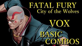 餓狼伝説 CotW OBT2 ヴォックス 基本 コンボ【 FATAL FURY CotW OBT2 VOX BASIC COMBOS 】