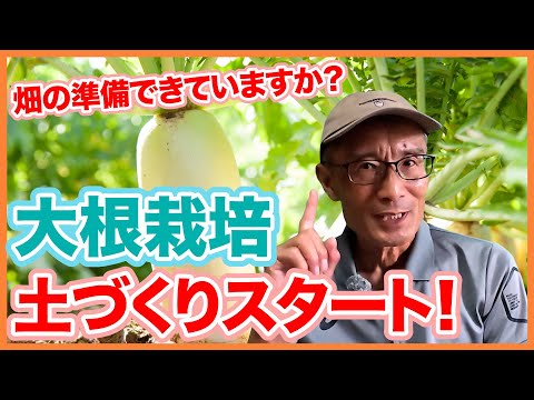 家庭菜園や農園の大根栽培は良い土作りから！通気性と水はけを良くする秘訣と大根の育て方！【農家直伝】