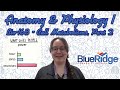 Mutations and Molecular Biology Concepts