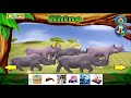 Unique Animal Features and Habits