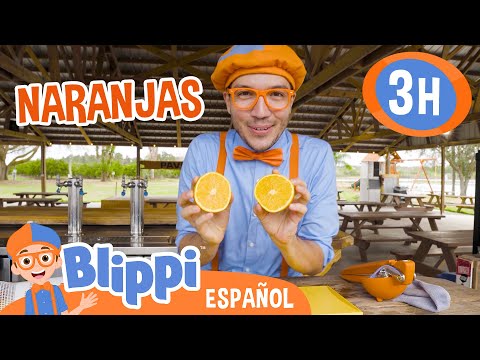 Recolectando naranjas con Blippi 🍊| Blippi Español | Videos educativos para niños | Aprende y Juega