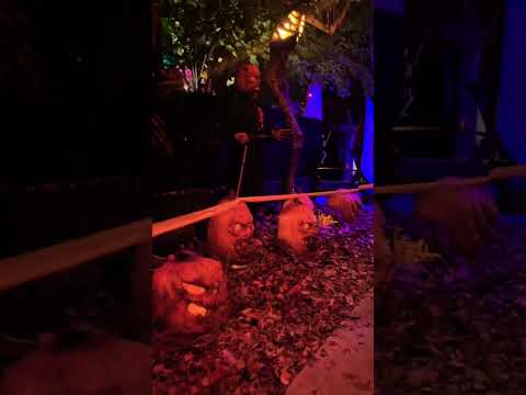 #halloween #spookyseason #halloween #fypシ゚viral