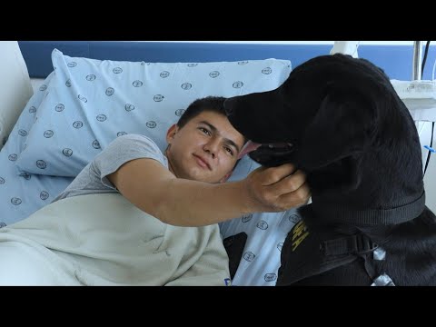 Therapy dogs help injured soldiers in Colombian hospital | AFP