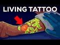 Understanding Tattoos and the Immune System