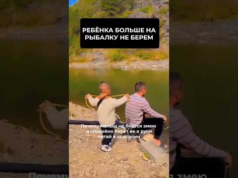 Описание тут. ЖМИ