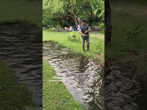 สวนคลองแสนสุข.. #ความสุข #คําคมชีวิต #วิถีพอเพียง #ธรรมชาติบำบัด #nature #canal #automobile