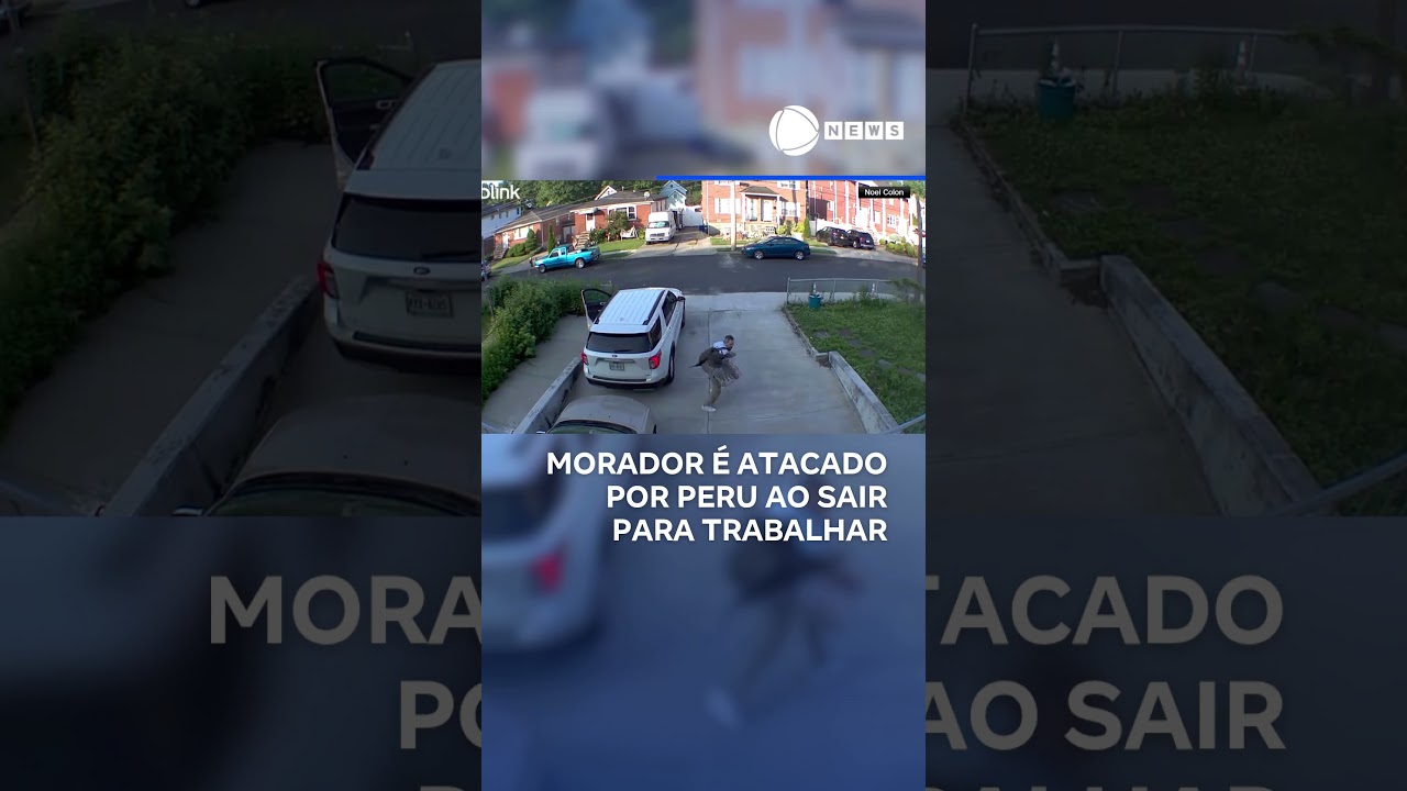 Morador é atacado por peru ao sair para trabalhar 📲 RecordNews Shorts