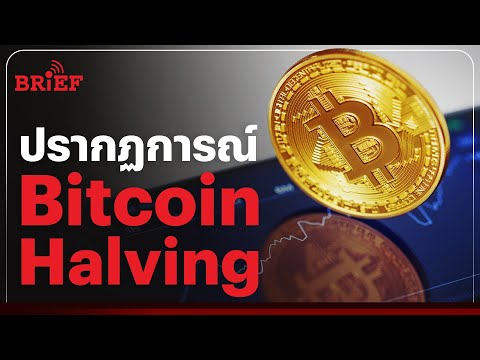 BitcoinHalving2024ปรากฏการณ์ที่นักลงทุนรอคอยbeartaiBRIEF
