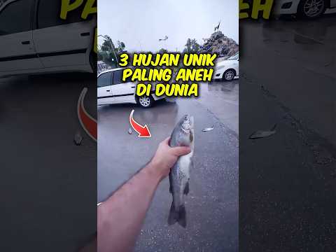 3 Hujan unik paling aneh di dunia!! nomer 3 ada di indonesia!!