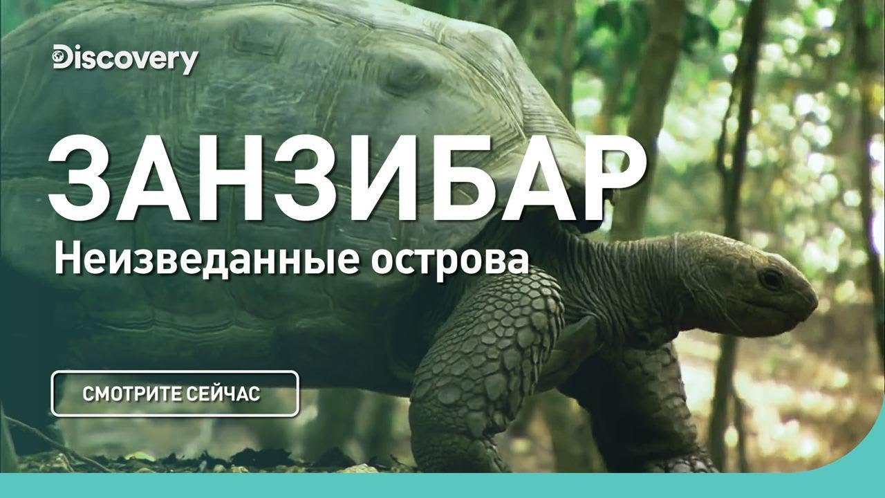 Занзибар Неизведанные острова