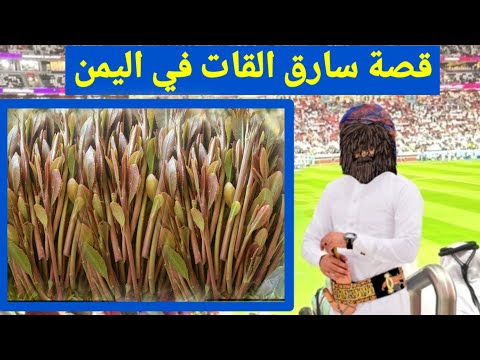 قصة سارق القات في اليمن