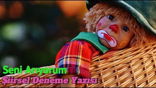 Seni arıyorum tüm şehirlerde, deneme yazısı şiirsel anlatım.