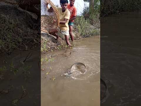 মাছ কিভাবে ধরে #reels #fishing #comedyfilms #funny #funnycomedy #comedy #foryou