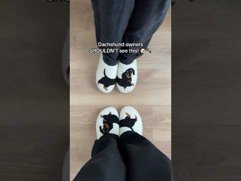 How have I not seen this before?😭😩 #dachshund #slippers #gift