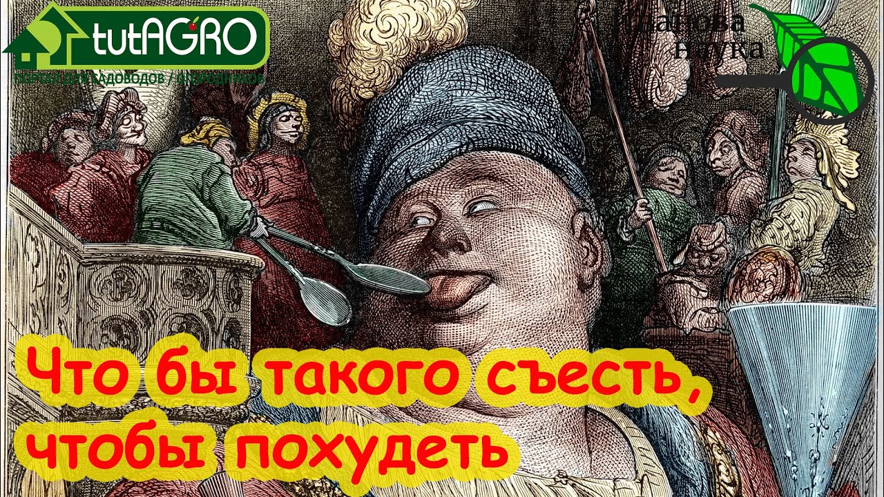 Главный продукт для похудения: вкусный, сытный, полезный и можете вырастить сами, ешьте его на ночь!