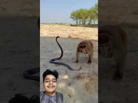 Duniya ki sab se pyari awaaz 🥰 #azan #islamicvideos #islamicstutus #shortfeed #quran #shorts #azma