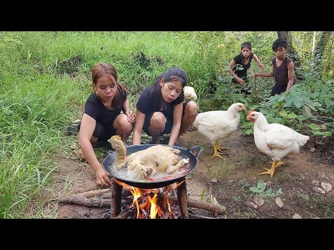 Survival in rainforest, Catch and cook chicken for jungle food, Chicken soup chili so delicious food