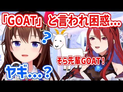 エリザベスから「GOAT」と言われ困惑するそらちゃん【ホロライブ切り抜き/ときのそら/エリザベス・ローズ・ブラッドフレイム】