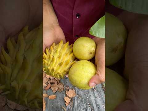 ഈ പഴങ്ങൾ എന്റെ മാനംകാത്തു 😍😍😍😍😍#fruitcutting #fruits
