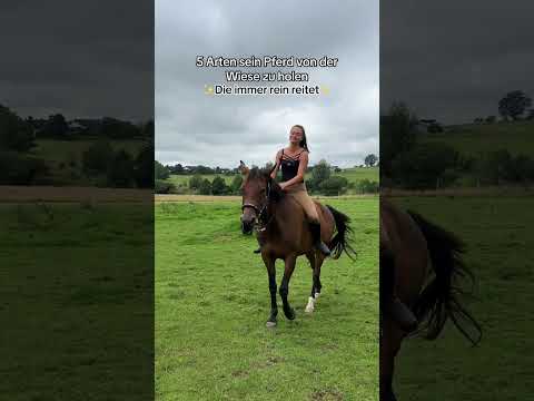 Wie holst du dein Pferd von der Weide? 😅​😂​ #royalhorsemen #equestrian #horses