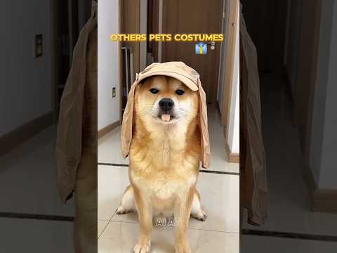 Best Pet Costumes 👔☠️ #animals #shorts #ytshorts