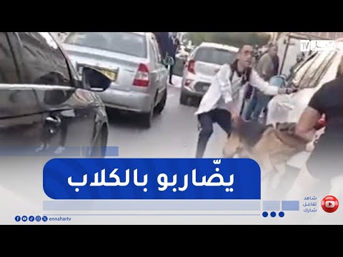 تربية الكلاب الشرسة  ..  بين الهواية وتعريض حياة الغير للخطر