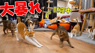 動画サムネイル