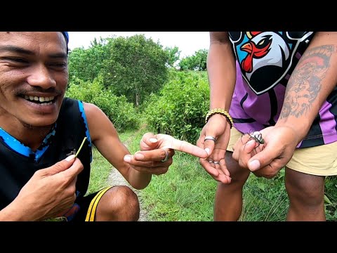 GAGAMBA HUNTING! PINAKA EXCITING NA PAGHAHNAP PAG ARAW!!