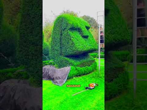 Крутое преображение участка😍😱👍