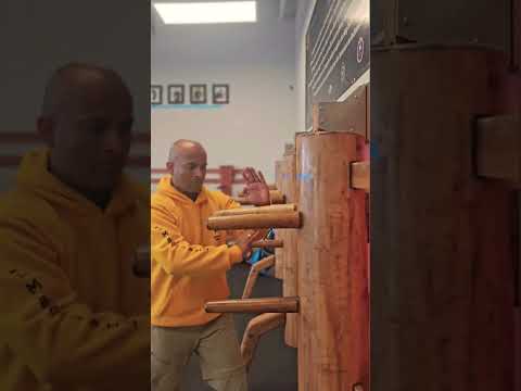 Foshan Wingchun #wingchun #vingtsun #woodendummy #shifukanishka #foshan  #kungfu #martialarts