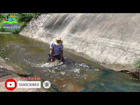 Amazing Water wheel pump from the river   Strong water pump without electricity #diy