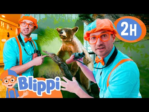 Blippi's Animal ADVENTURE! |  Blippi and Meekah Best Friend Adventures | Educational Videos for Kids