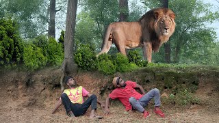 Lion Attack Man in Forest | Lion Attack in Jungle | lion attack in Jungle village