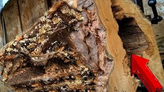 sawmill operator nearly eaten by hollow wood keeper