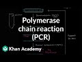 Exploring Polymerase Chain Reaction (PCR) Concepts