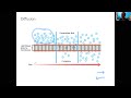 Cell Membrane Transport Mechanisms