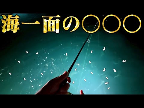 真夜中の夜の水面に現れた【超高級食材】の群れ！釣りまくってみた！