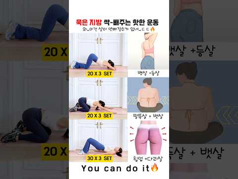 체지방이 활활 타오른다는 눕방홈트!!🔥 #흥둥이 #workout #뱃살빼기