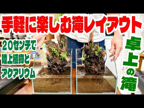 【アクアリウム】20センチの小型水槽でお手軽に滝の流れるレイアウトが誰でも楽しめます!(陸上も水中も遊べるアクアテラリウム)