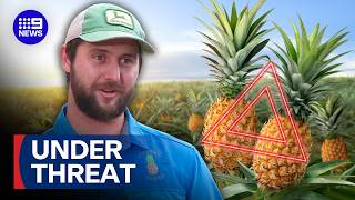 YouTube video thumbnail: Queensland’s Pineapple Industry Facing Ruin Over Foreign Import Plans