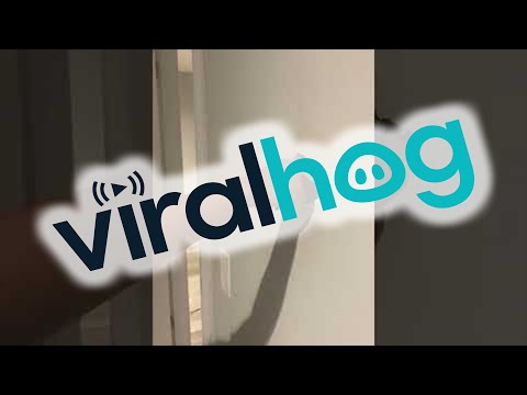 Figuring Out Who Punched a Hole in the Wall || ViralHog