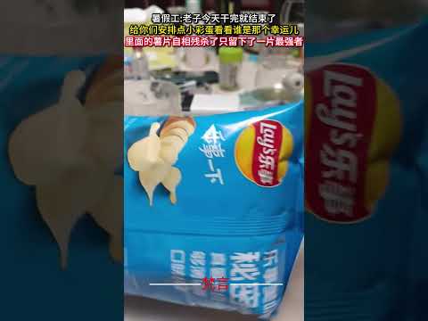 暑假工の一日を笑いと驚きで振り返る｜小さな彩りと予想外の出来事 サムネイル