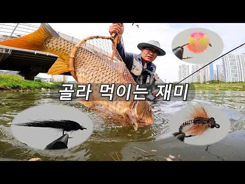 골라 먹이는 재미 - 2026 <strong>fly</strong> fishing EP5(Carp <strong>On</strong> <strong>The</strong> <strong>Fly</strong> 잉어 플라이 낚시) with CLOVA Dubbing
