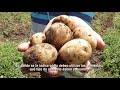 Importancia de la Educación Alimentaria