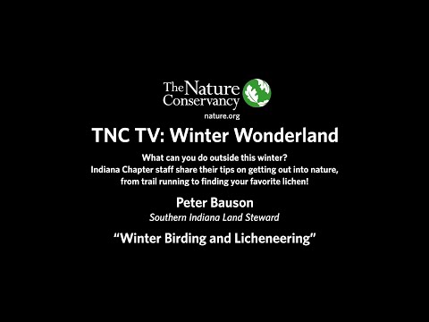 TNC TV: Winter Birding and Licheneering